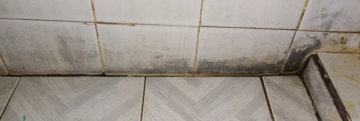 Mould along bathroom tiles