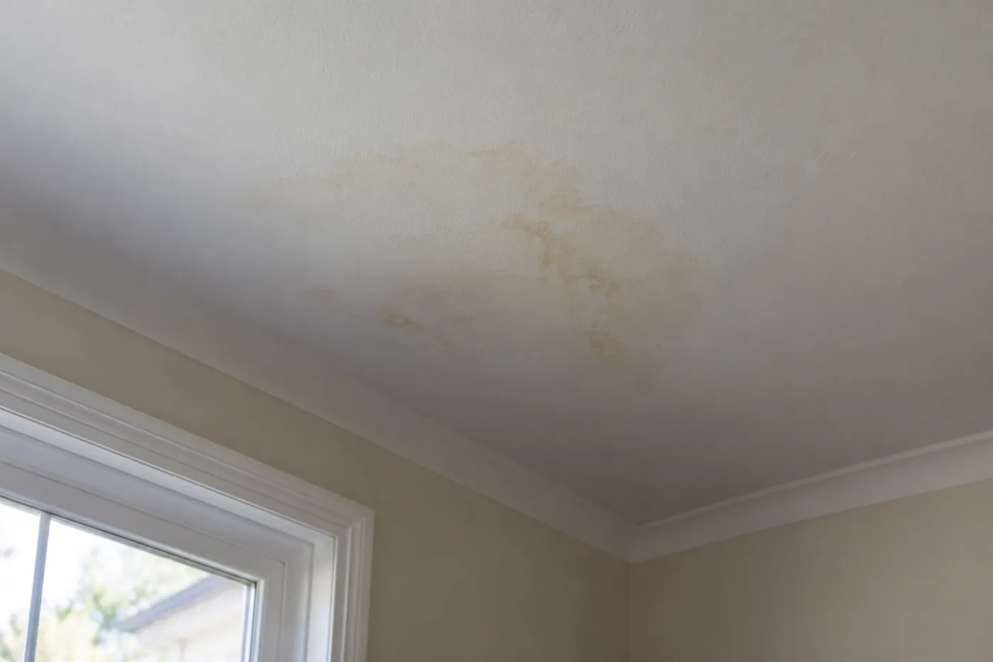 Illustrative image of a water-stained ceiling