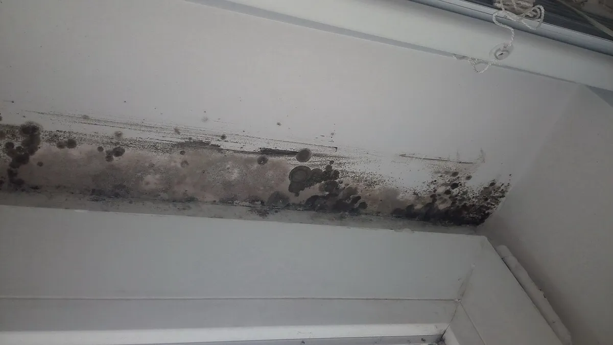 Mould on an indoor window frame