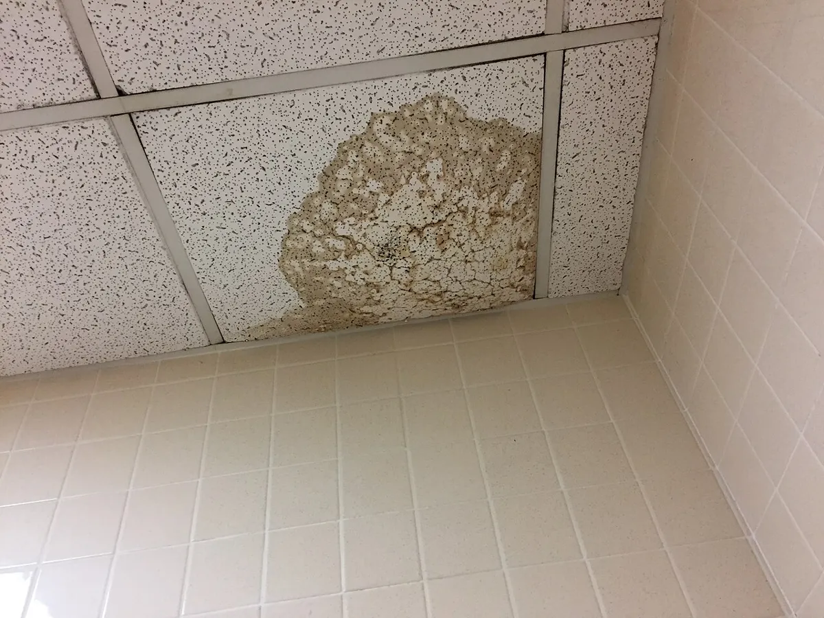Water staining on ceiling tiles
